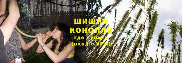 сатива Балабаново