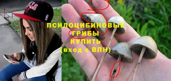 сатива Балабаново