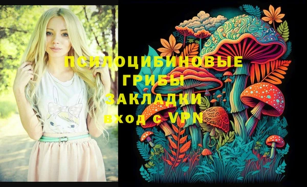МДМА Арсеньев
