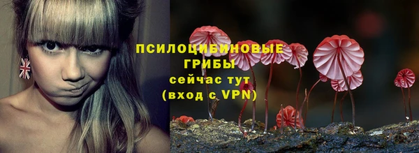 ECSTASY Аркадак