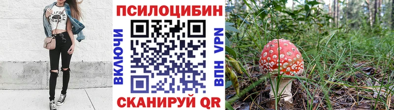 Псилоцибиновые грибы MAGIC MUSHROOMS  где продают   Светлогорск 